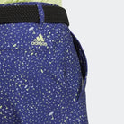Adidas Men's Ultimate365 Flag-Print Golf Shorts HA9121 Men's Shorts Adidas 