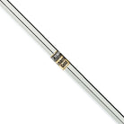 Dynamic Gold Steel Iron Shaft .370 Shafts Golfworks S300 