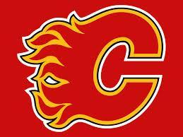 NHL Ball Marker Assorted Accesories Caddy Pro Calgary Flames 