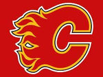 NHL Ball Marker Assorted Accesories Caddy Pro Calgary Flames 