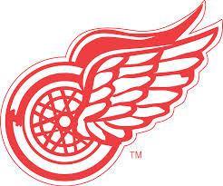 NHL Ball Marker Assorted Accesories Caddy Pro Detroit Red Wings 